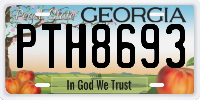 GA license plate PTH8693