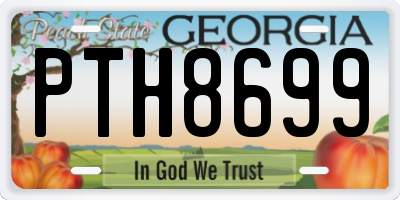 GA license plate PTH8699