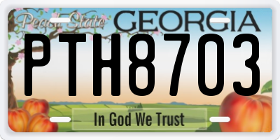 GA license plate PTH8703