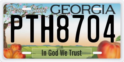 GA license plate PTH8704