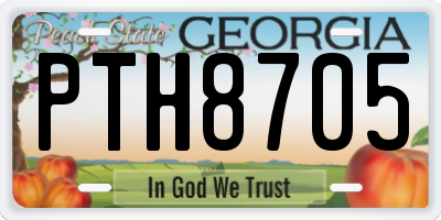 GA license plate PTH8705