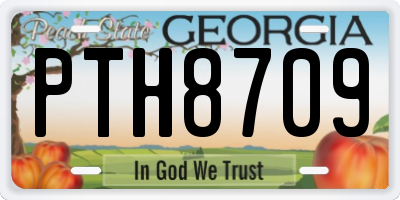 GA license plate PTH8709