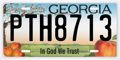 GA license plate PTH8713