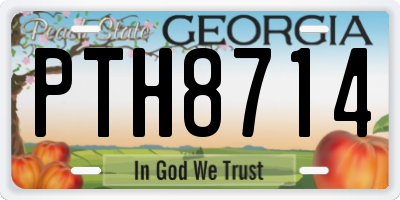 GA license plate PTH8714