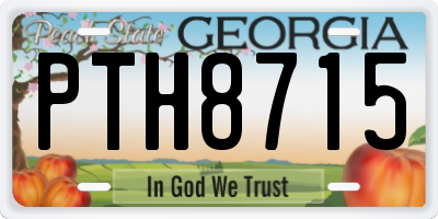 GA license plate PTH8715