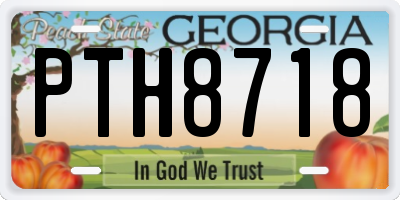 GA license plate PTH8718