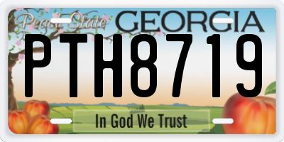 GA license plate PTH8719