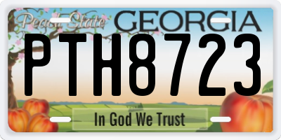 GA license plate PTH8723
