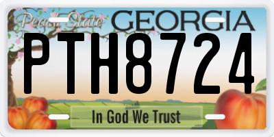 GA license plate PTH8724