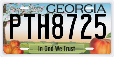 GA license plate PTH8725