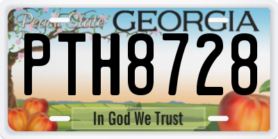 GA license plate PTH8728