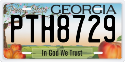 GA license plate PTH8729