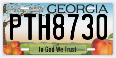 GA license plate PTH8730