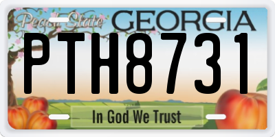 GA license plate PTH8731