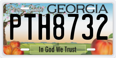 GA license plate PTH8732