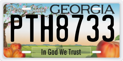 GA license plate PTH8733