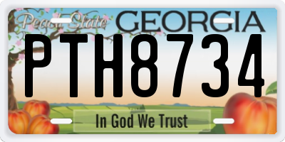 GA license plate PTH8734