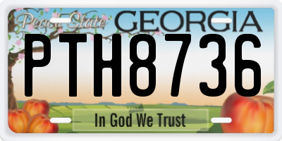 GA license plate PTH8736