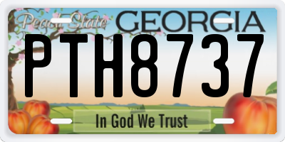 GA license plate PTH8737