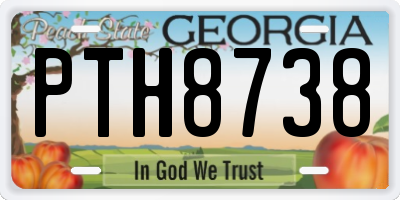 GA license plate PTH8738