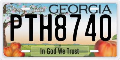 GA license plate PTH8740