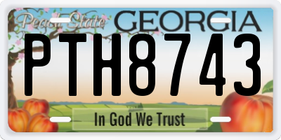GA license plate PTH8743