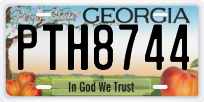 GA license plate PTH8744