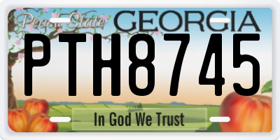 GA license plate PTH8745