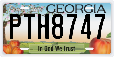 GA license plate PTH8747
