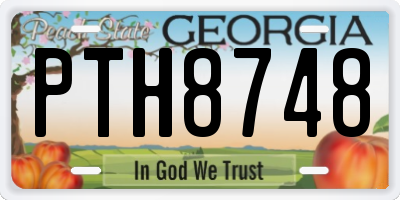 GA license plate PTH8748