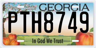 GA license plate PTH8749