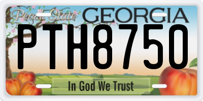 GA license plate PTH8750