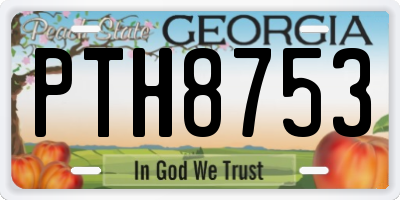 GA license plate PTH8753