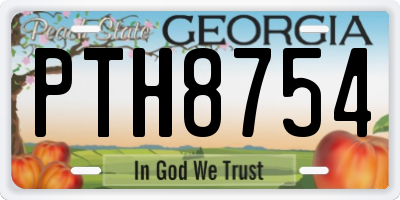 GA license plate PTH8754