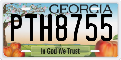 GA license plate PTH8755