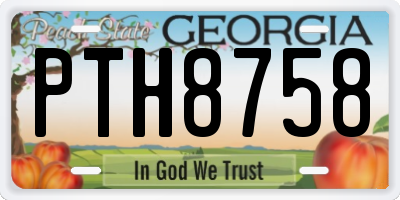 GA license plate PTH8758
