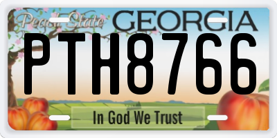 GA license plate PTH8766