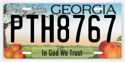GA license plate PTH8767