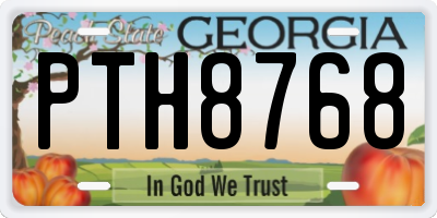 GA license plate PTH8768