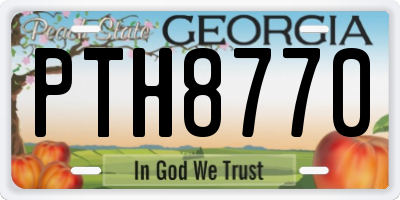 GA license plate PTH8770