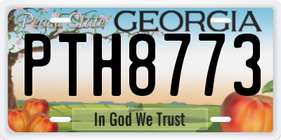 GA license plate PTH8773