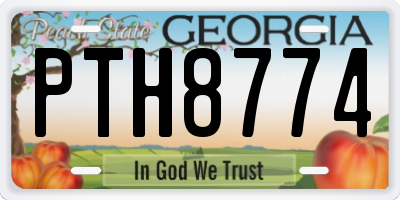 GA license plate PTH8774