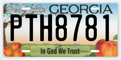 GA license plate PTH8781