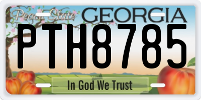 GA license plate PTH8785