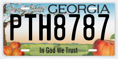 GA license plate PTH8787