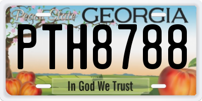 GA license plate PTH8788