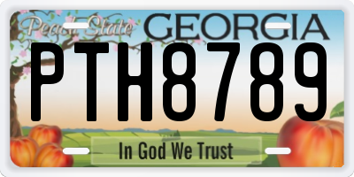 GA license plate PTH8789