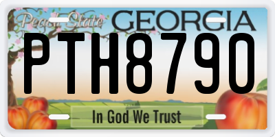 GA license plate PTH8790