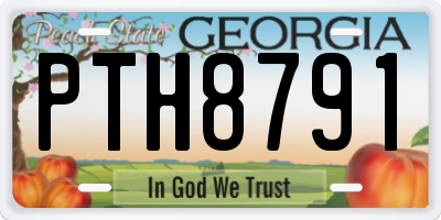 GA license plate PTH8791