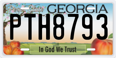 GA license plate PTH8793